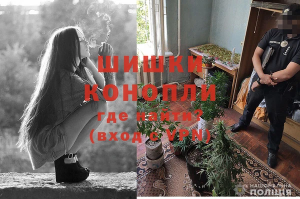 ешки Верхний Тагил