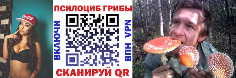 Купить  Нюрба  Галлюциногенные грибы мицелий 